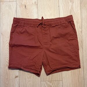 Goodfellow & Co Men's Rust Shorts
